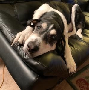 Meet your Posher, Olivia